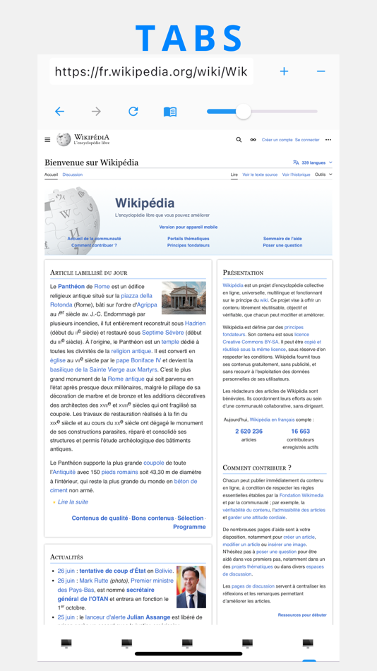 #2. Desktop Browser : Zoom & Tabs (iOS) 由: Hamza Abdessadek