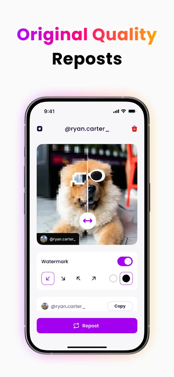 Screenshot #3 pour Repost Posts & Videos