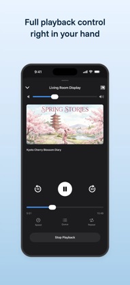 Video Stream for Chromecast screenshot 3