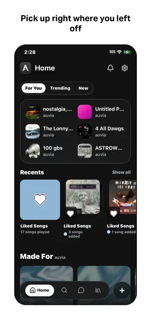 Auvia screenshot 2