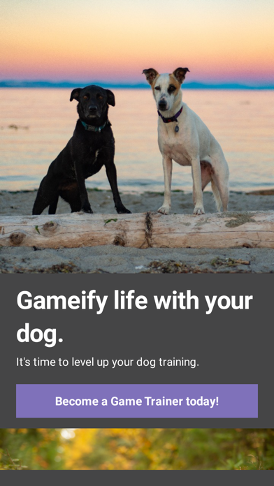 Fit Fido Dog Training app screenshot