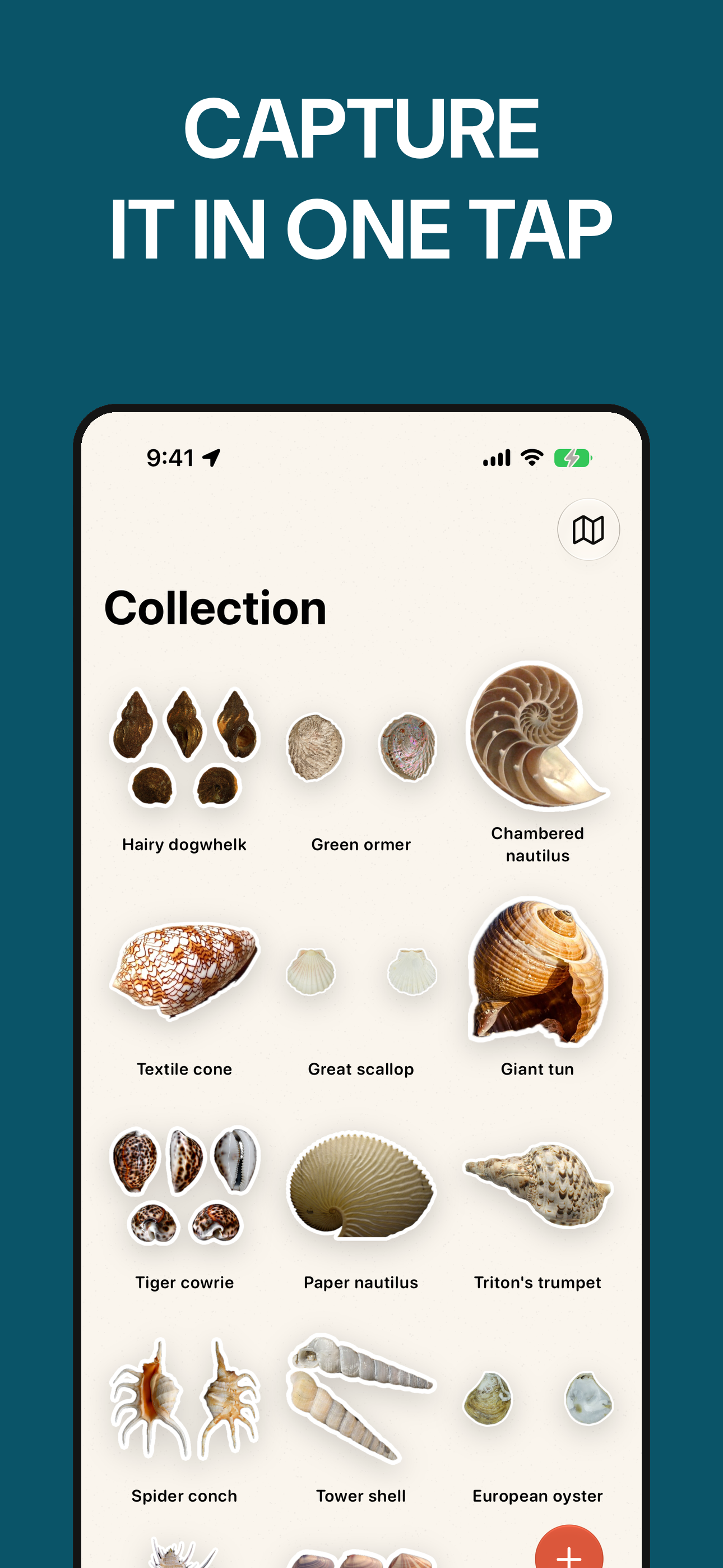 Sea Shell Identifier: ShellMap screenshot 2