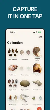Sea Shell Identifier: ShellMap screenshot 2