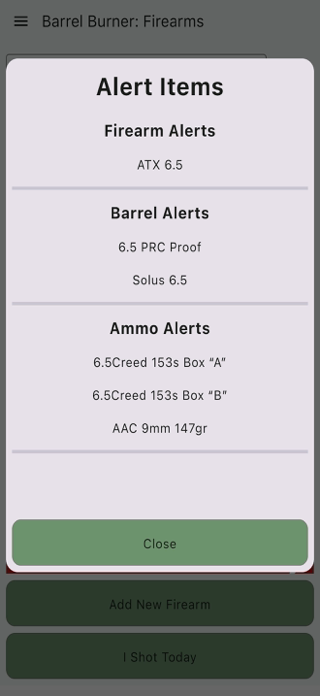 Barrel Burner Screenshot 2 of 6