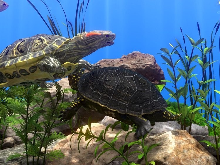 Fish Farm 4: 3D Aquarium screenshot-7