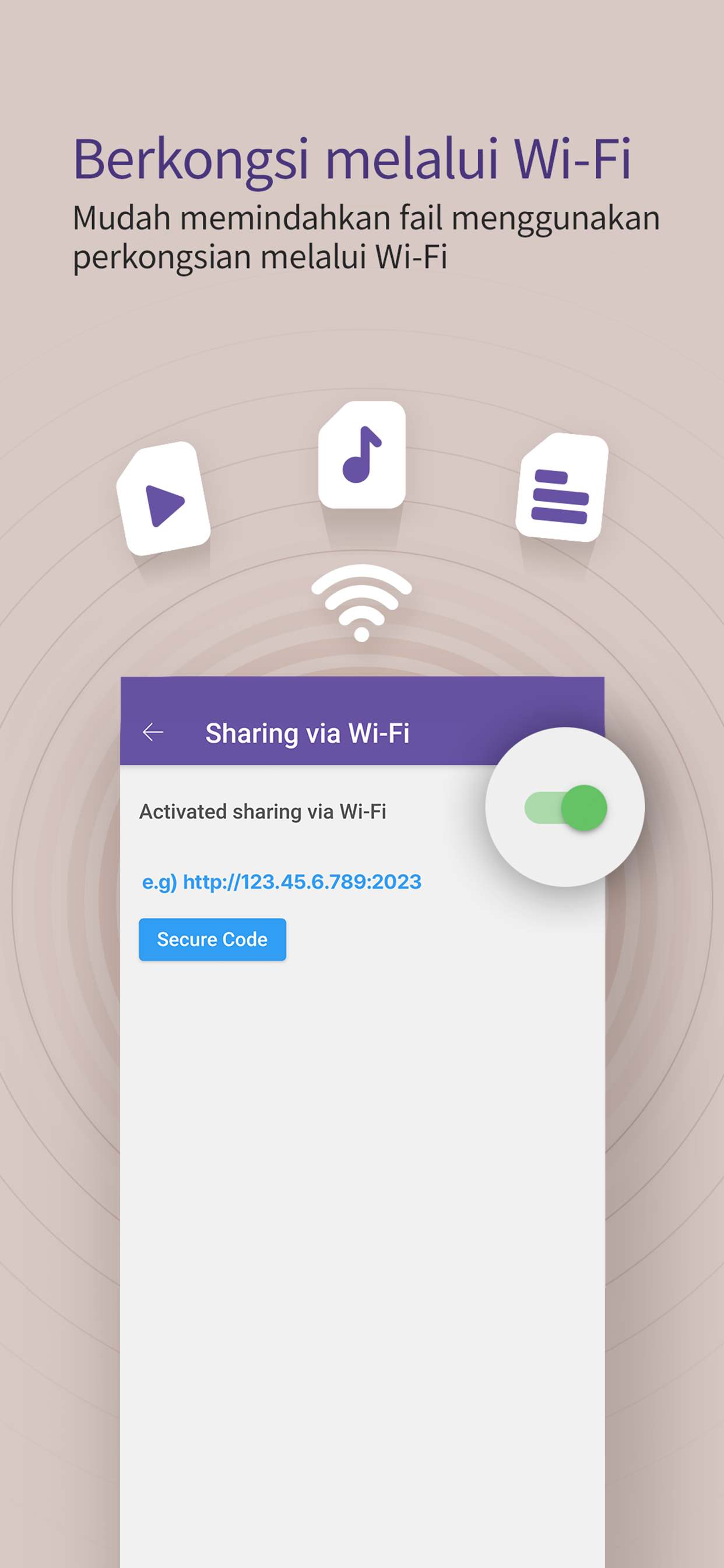 KMPlayer+ Divx Codec