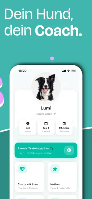 Hundecoach Luna screenshot 3