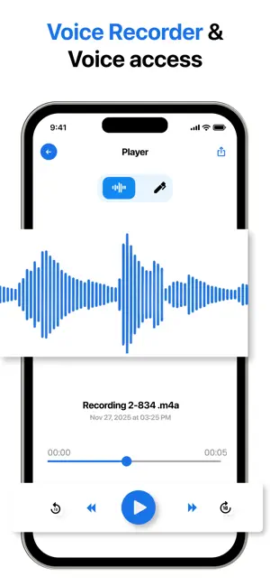 Voice Access - Voice Recorder screenshot 1