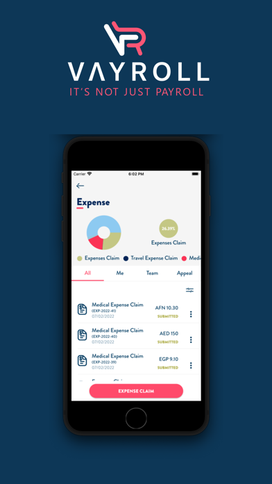 VAYROLL Screenshot