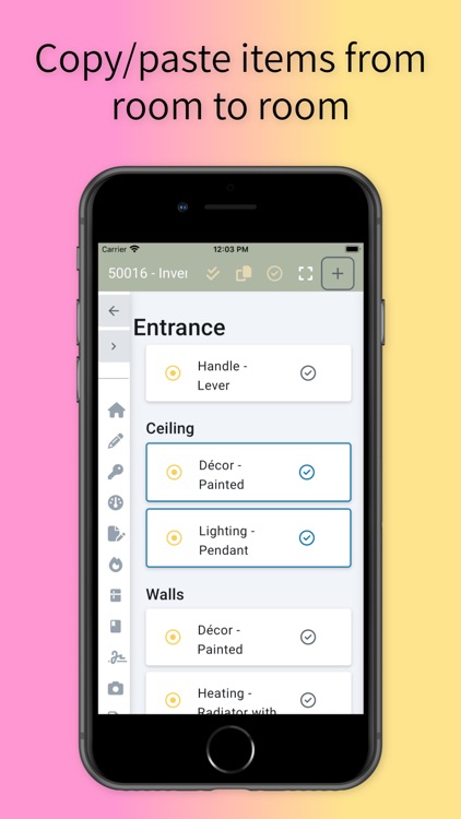 Peach Software: Reporter