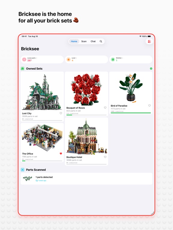 Bricksee Screenshot 2