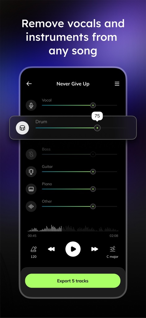 Vocal Remover - Musiclab - This tool enables precise volume adjustments for individual stems using intuitive sliders and offers visual feedback on the audio waveform for refined mixing.