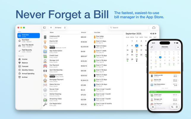 Chronicle - Bill Organizer Screenshot