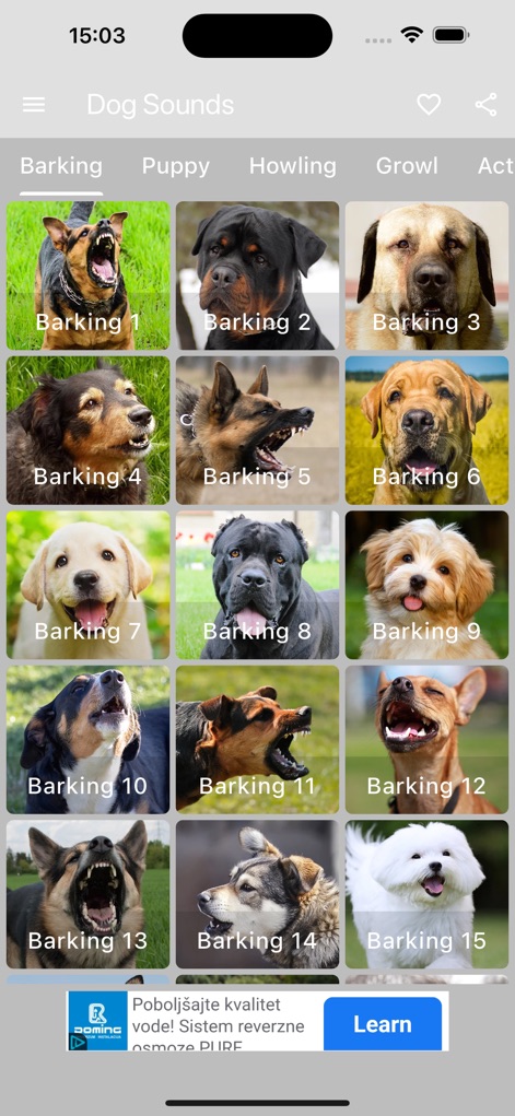 Dog Sounds - Collection - Entertainment App | MWM