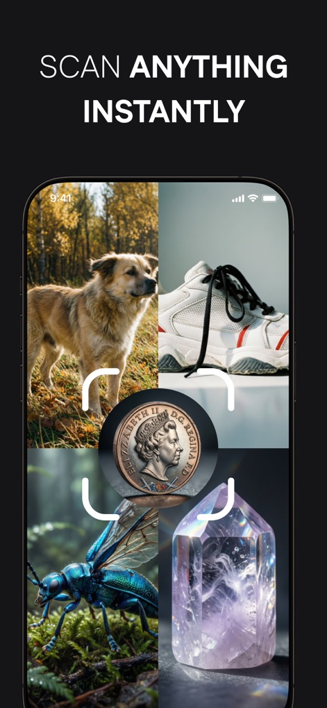 Mysticat-AI Photo Studio - This tool provides smart image recognition, allowing users to instantly identify various objects displayed within a grid layout, highlighted by dynamic scanner-like overlays.