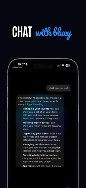 bluey.ai screenshot 3