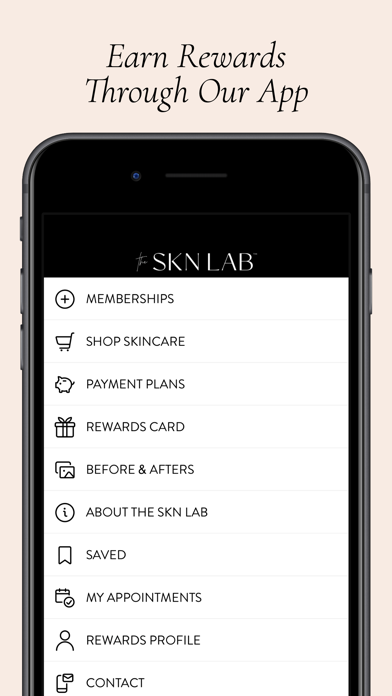The SKN Lab Screenshot