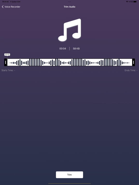 Screenshot #6 pour Dictaphone: Notes Vocales