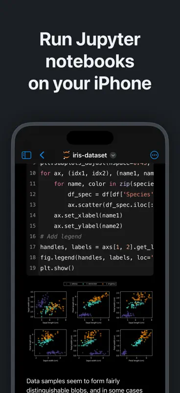 Python IDE & Jupyter – Juno screenshot 4 of 8