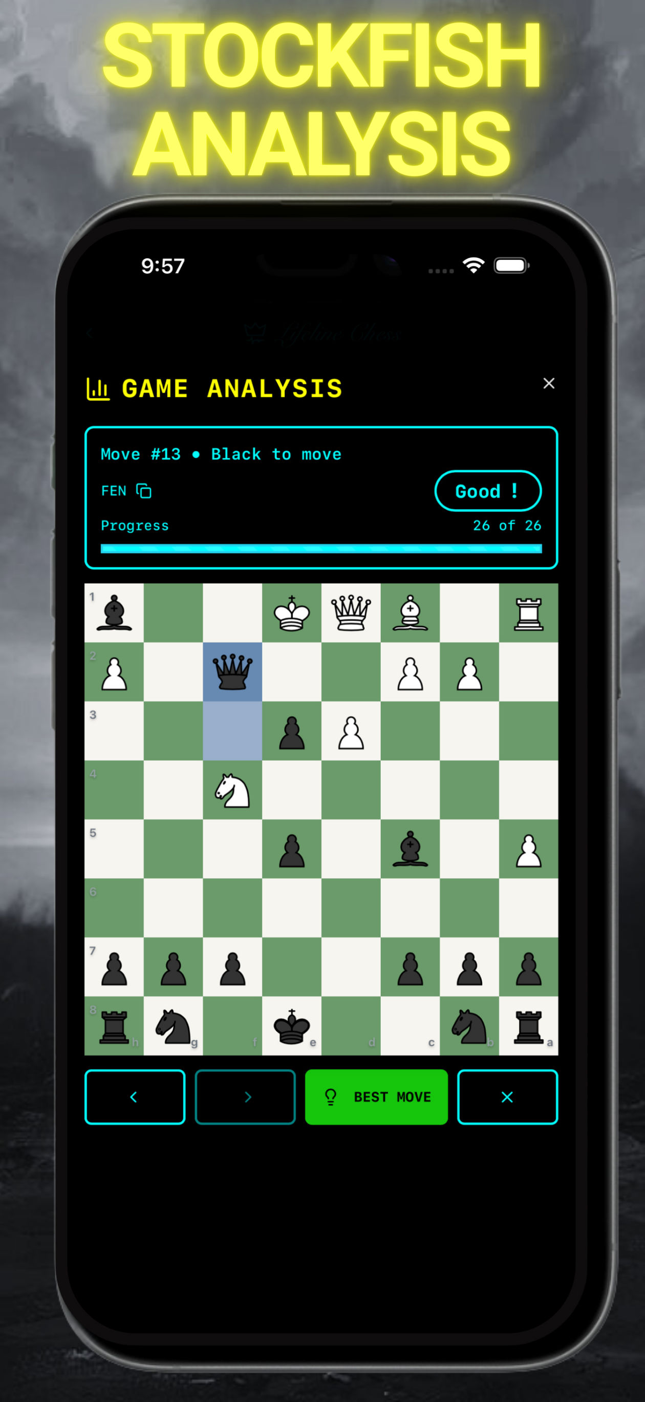 Lifeline Chess screenshot 10