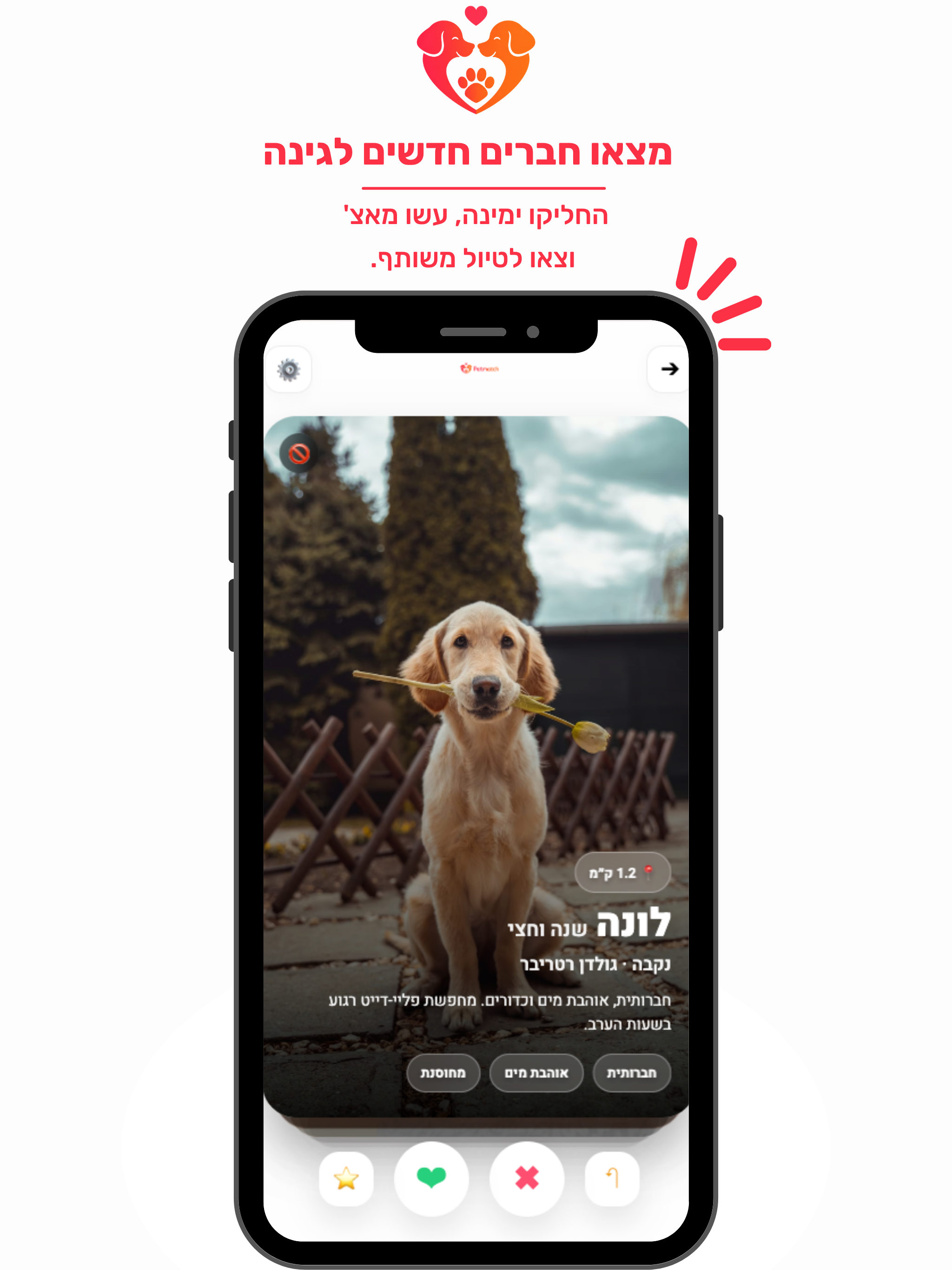PetMatch - הסופר אפ לכלב screenshot 6