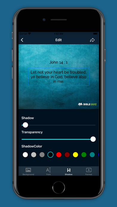 Bible Quiz Screenshot
