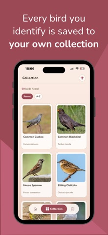 Pio: Bird Sound Identifier Screenshot 3 of 7