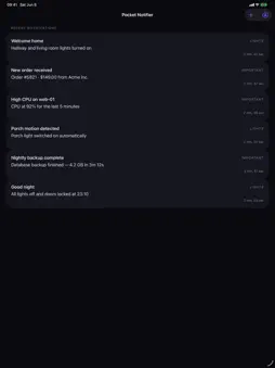 Pocket Notifier screenshot 6