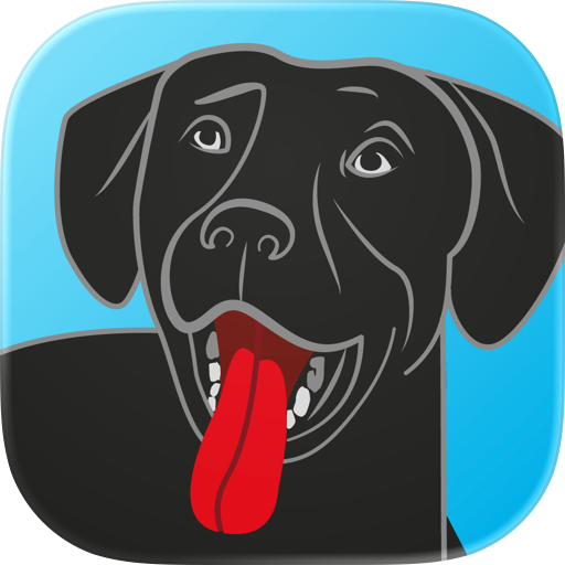 BringFido