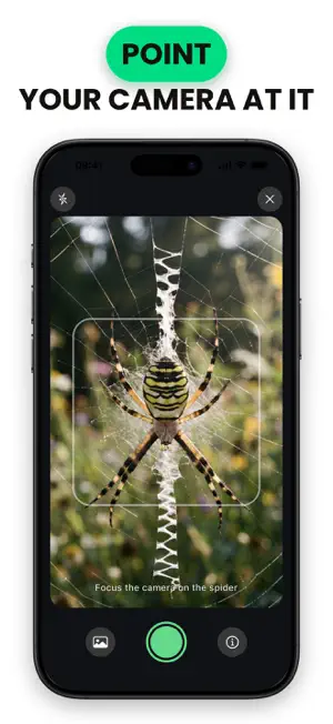 Spider Identifier: Venom ID screenshot 3