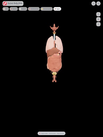 HumanBodyAtlas iPad screenshot