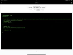Nan - Packet Capture screenshot 15