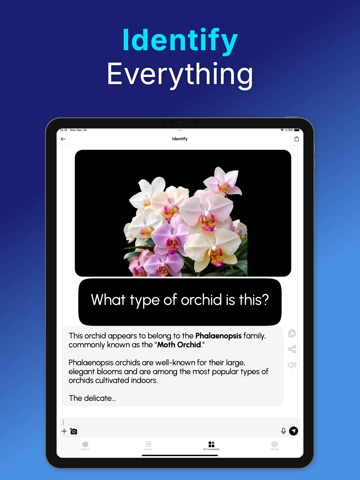 Chat+ AI: Safe & PIN-Protected iPad screenshot