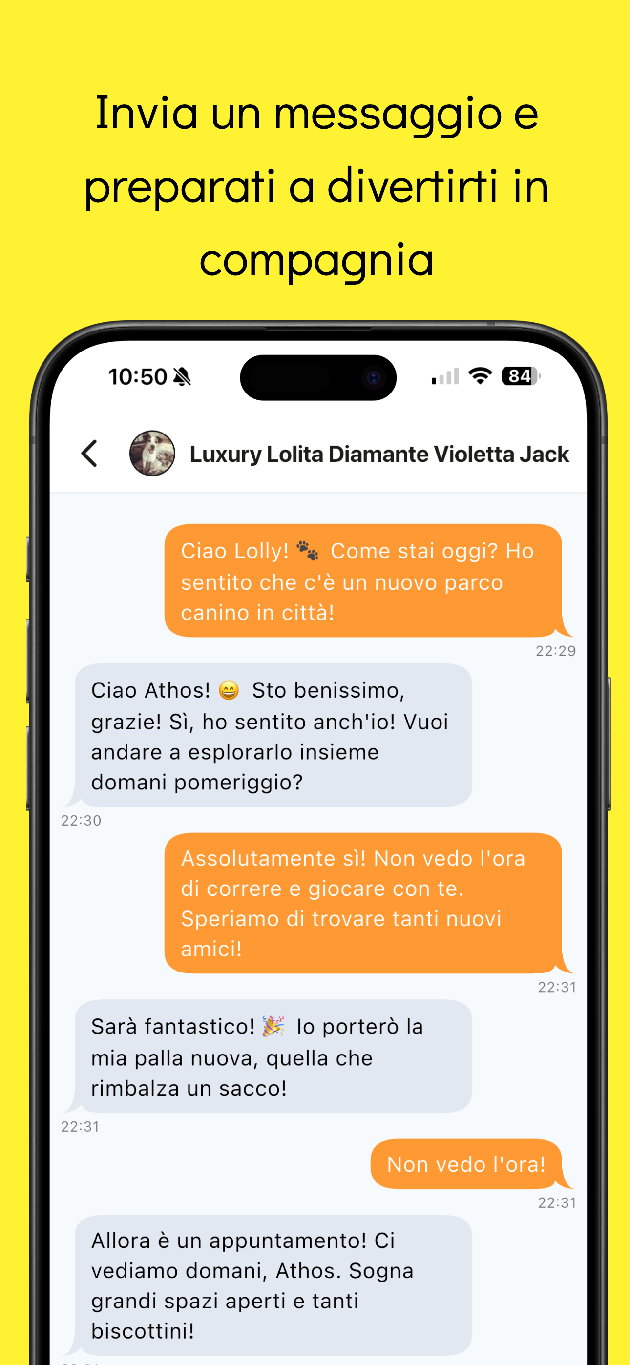 Doggree. Incontri a 4 zampe