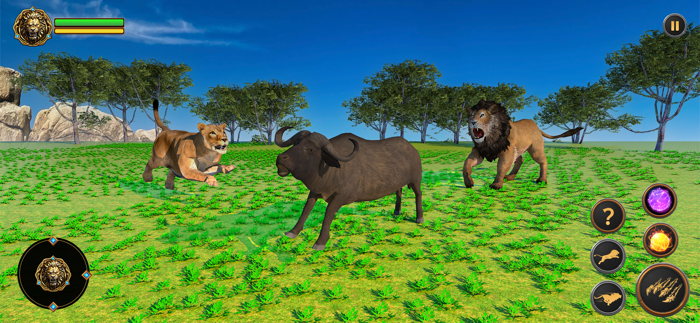 Lion Games Wild Animal Life