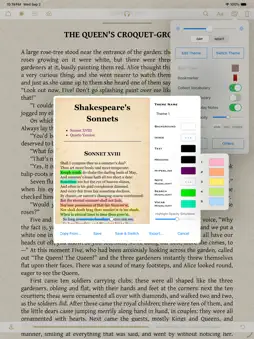 MapleRead SE screenshot 11