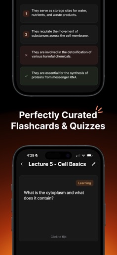 Studley AI - Get better grades screenshot 4