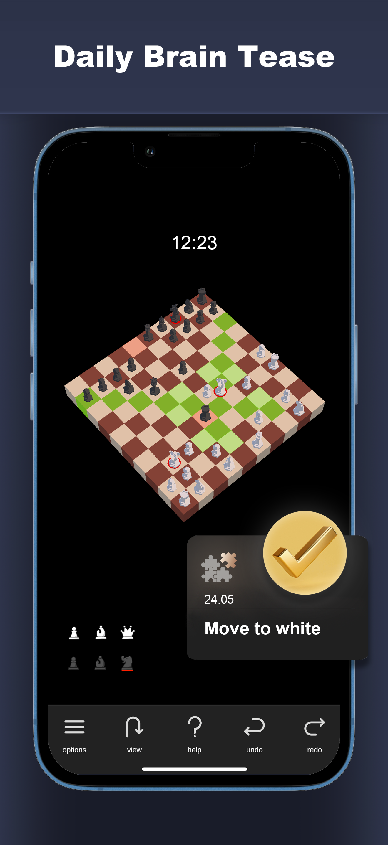 Big Chess: Strategy Board Game screenshot 5