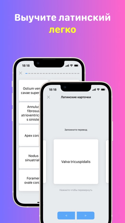 Учи Мед (Учи Анат) screenshot-5