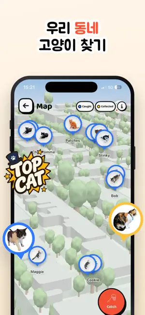 Cat Collector: 진짜 고양이 iPhone screenshot 3