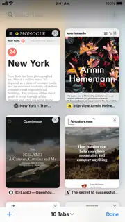 Safari screenshot 2