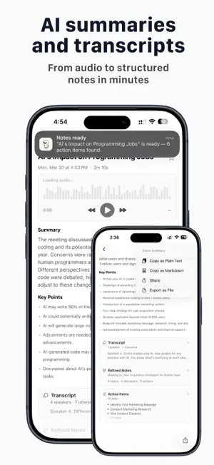 Dev Partner: Meeting Notes screenshot 2