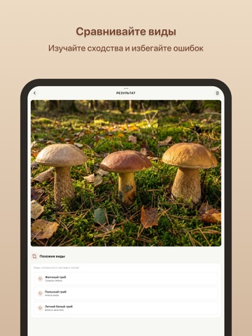 Грибы: Определитель iPad screenshot 4