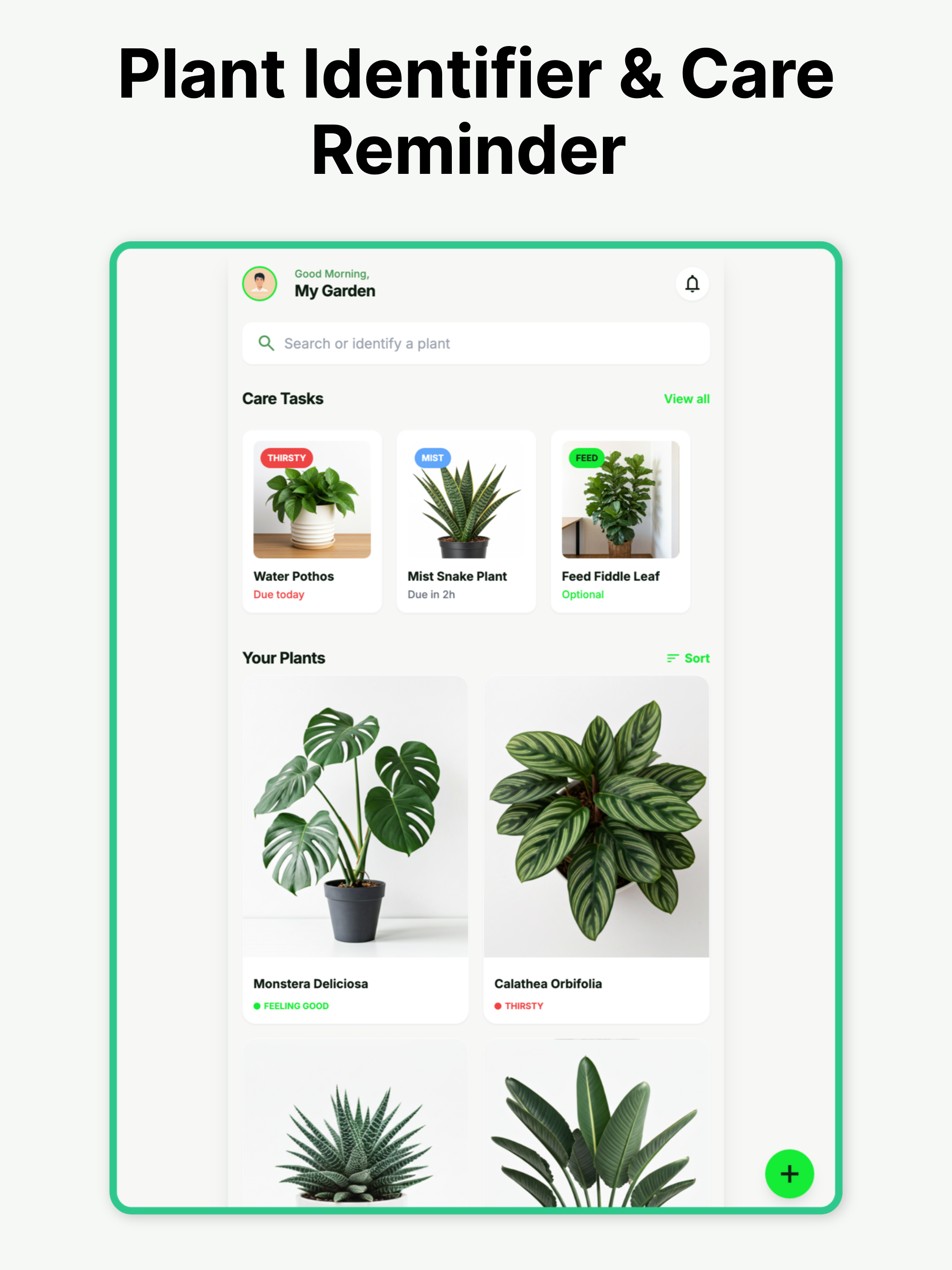 Plant Finder Identifier