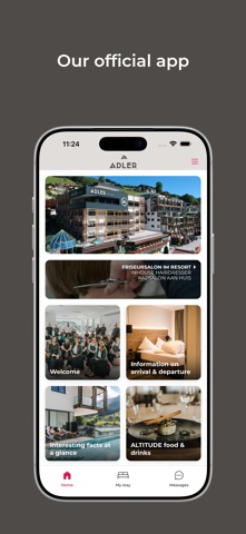 Adler Resort Screenshot 1 of 3