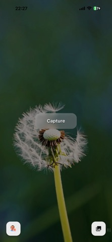 Everyday Dandelion screenshot