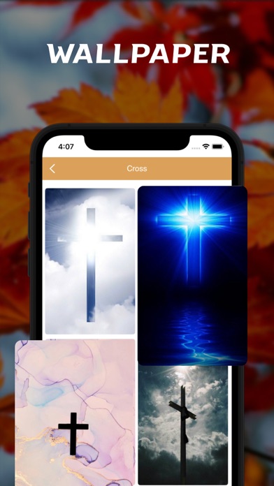 Hungarian Bible - offline Screenshot