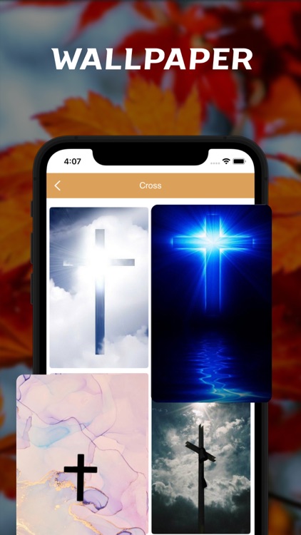 Hungarian Bible - offline screenshot-7