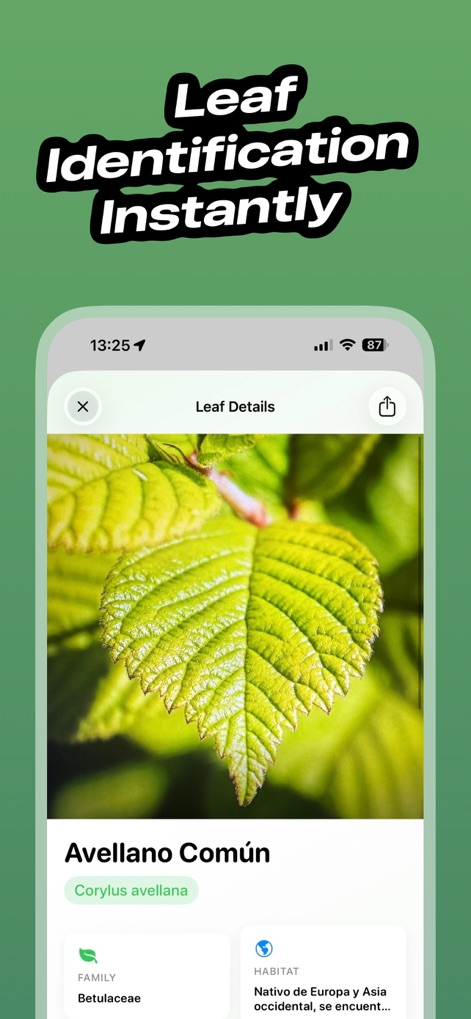 LeafID: Plant & Leaf ID - Reference App | MWM