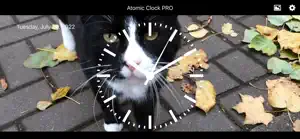 Atomic Clock PRO screenshot 7
